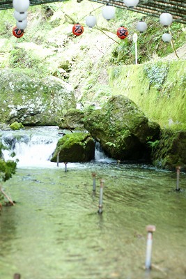 DSC01764.jpg