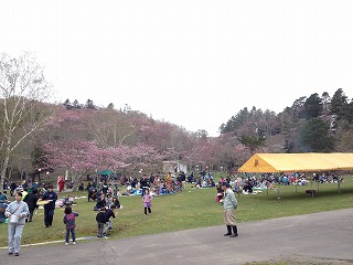 IMG_3187.jpg