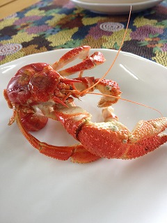 IMG_3287.jpg