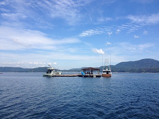 IMG_4822.jpg