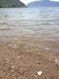 IMG_4829.jpg