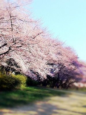 画像 002.jpg