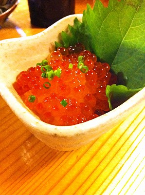 画像 012.jpg