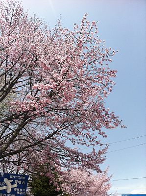 画像 033.jpg