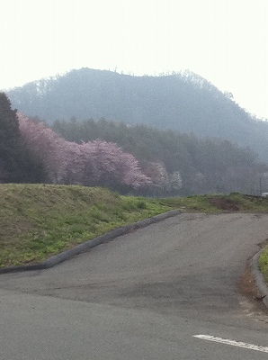 画像 042.jpg